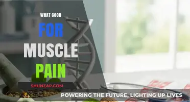 Natural Remedies to Relieve Muscle Pain: A Comprehensive Guide