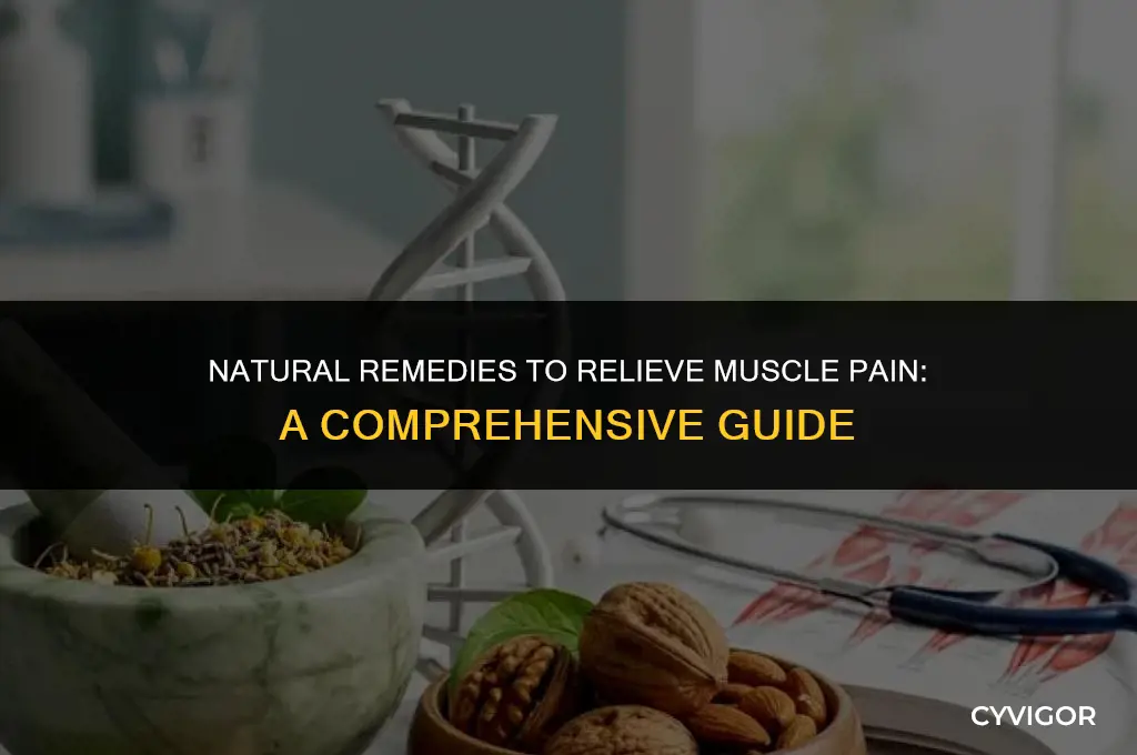 what good for muscle pain