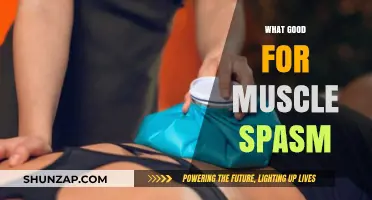 Natural Remedies to Ease Muscle Spasms: A Comprehensive Guide