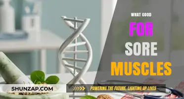 Natural Remedies to Ease Sore Muscles After a Tough Workout