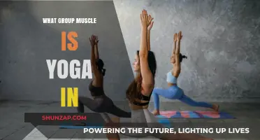 Yoga's Muscle Group Focus: Strengthening and Stretching for Total Body Balance