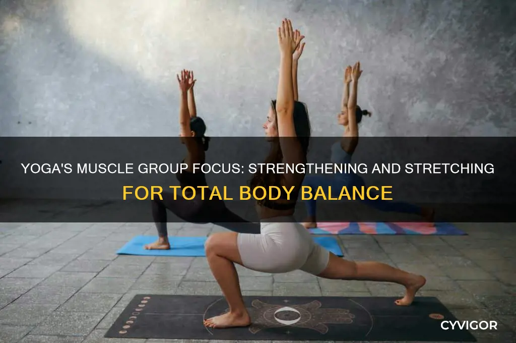 what group muscle is yoga in
