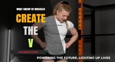 Sculpting the V-Shape: Key Muscles for a Defined Physique