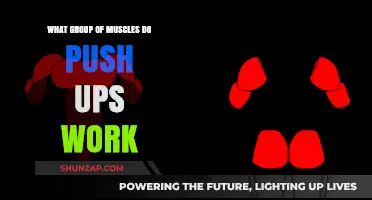 Push-Ups: Targeting Chest, Shoulders, Triceps, and Core Muscles Effectively