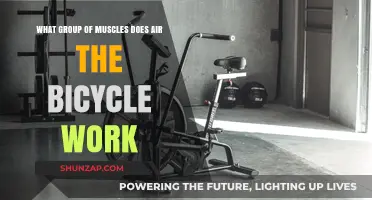 Muscles Targeted by the Air Bicycle Exercise: A Comprehensive Guide