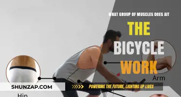 Bicycle Workout: Targeting Core, Lower Body, and Stabilizing Muscles