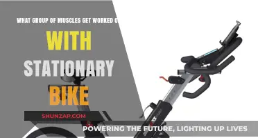 Stationary Bike Workout: Targeting Lower Body and Core Muscles