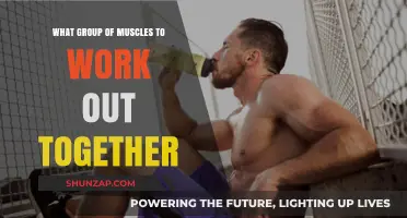 Effective Muscle Pairing: Optimize Your Workouts with Smart Group Training