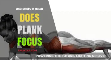 Plank Exercise: Targeting Core, Shoulders, Quads, and Glutes Effectively