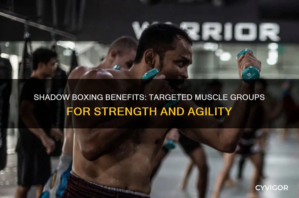 what groups of muscle does shadow boxing focus