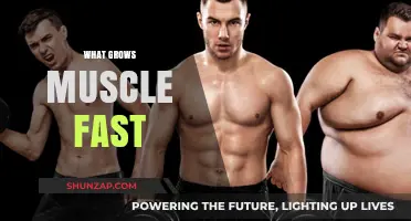 Rapid Muscle Growth: Proven Strategies for Quick and Effective Results