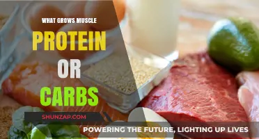 Protein vs. Carbs: Which Nutrient Fuels Muscle Growth Best?