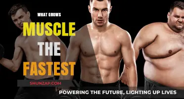 Maximize Muscle Growth: Proven Strategies for Rapid Strength Gains