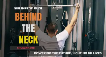 Strengthen Your Neck Muscles: Effective Exercises for Rear Neck Growth