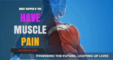 Understanding Muscle Pain: Causes, Symptoms, and Effective Relief Strategies