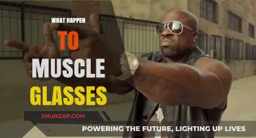 Muscle Glasses: Where Did They Go?