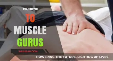 The Mystery of the Missing Muscle Gurus