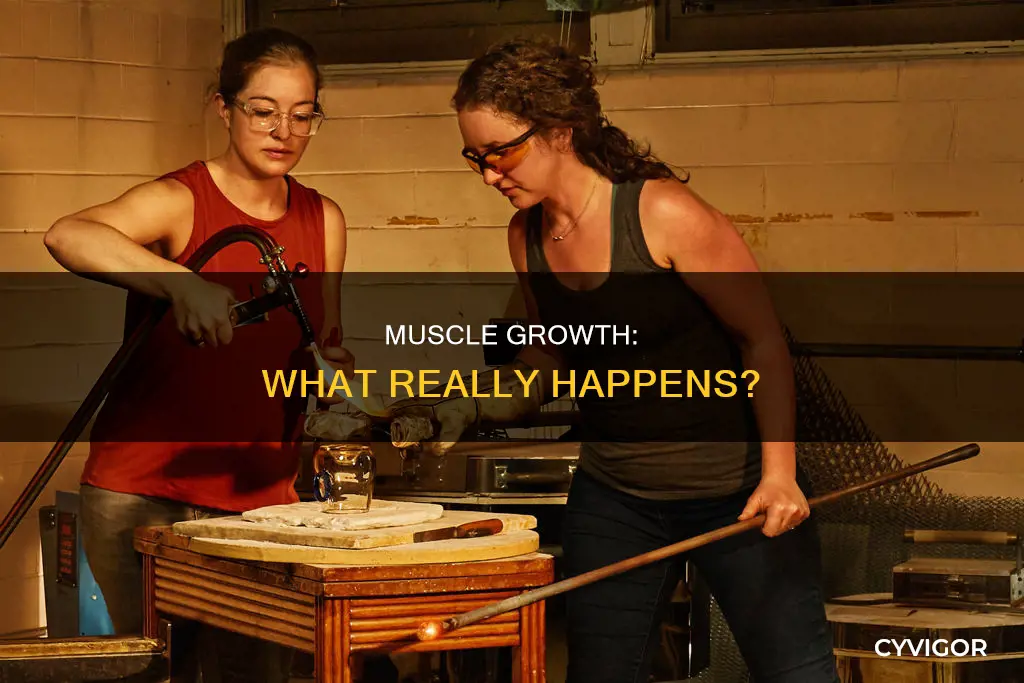 what happend muscle glass