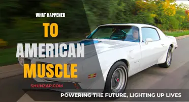 The Evolution of American Muscle Cars: What Happened?
