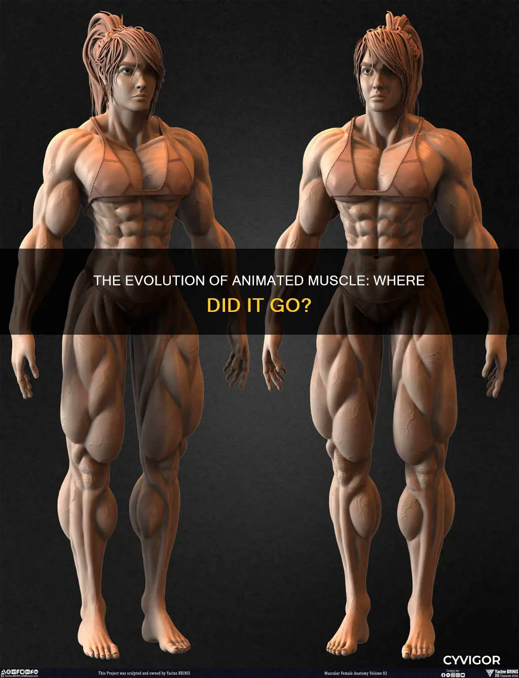 what happened to animated muscle