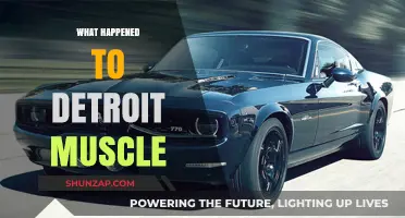 The Rise and Fall of Detroit Muscle Cars