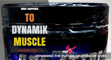 The Rise and Fall of Dynamik Muscle: What Went Wrong?
