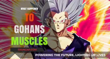The Mystery Behind Gohan's Muscular Transformation
