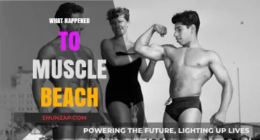 Muscle Beach: A Legacy Lost?