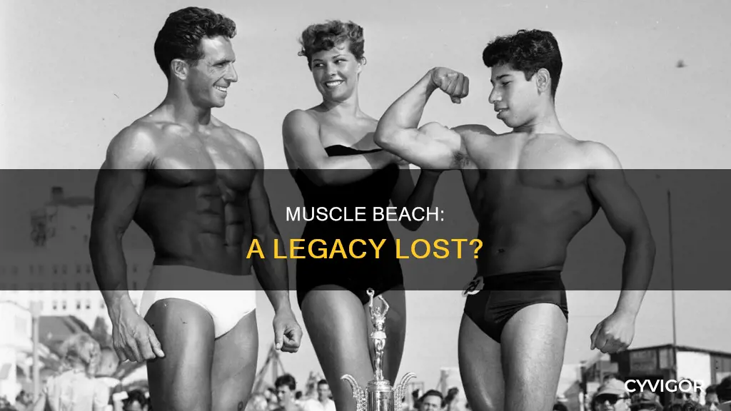 what happened to muscle beach