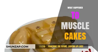 Muscle Cakes: What Happened to This Protein-Packed Treat?