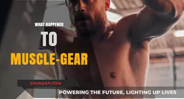 Muscle-Gear: What Happened and Why?