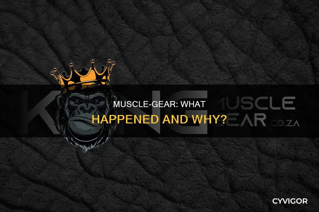 what happened to muscle-gear