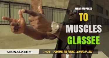 The Mystery Behind Muscle Glasses' Disappearance
