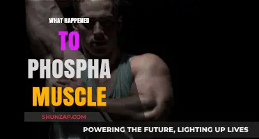 Phospha Muscle: What Went Wrong?