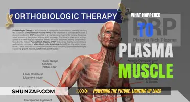 The Mystery of Plasma Muscle: What Went Wrong?