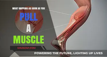 Immediate Effects of a Pulled Muscle: Pain, Swelling, and Recovery Steps