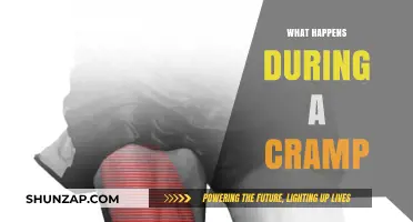Understanding Cramps: Causes, Symptoms, and Relief Methods