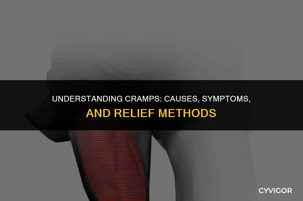 what happens during a cramp