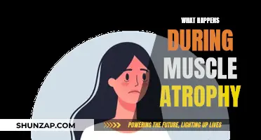 Muscle Atrophy: Understanding the Process of Muscle Wasting