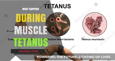 Muscle Tetanus: Understanding the Uncontrolled Muscle Contractions