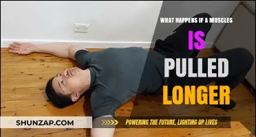 Pulled Muscles Stretched Too Far: Risks, Recovery, and Prevention Tips