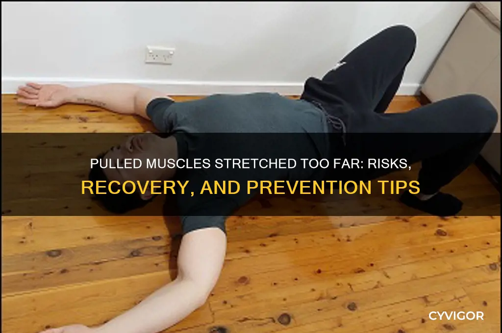 what happens if a muscles is pulled longer