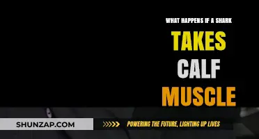 Shark Attack Survival: The Astonishing Case of a Calf Muscle Injury