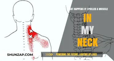 Pulled Neck Muscle: Symptoms, Causes, and Effective Recovery Tips