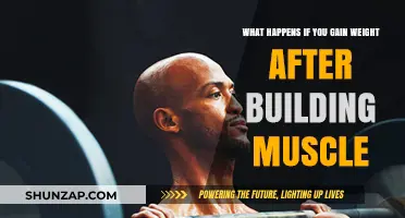 Muscle Gain to Weight Gain: Understanding Post-Bulk Body Changes