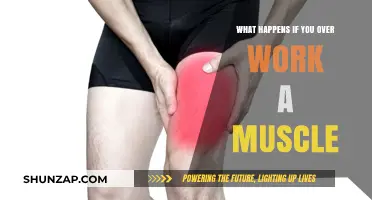 Overworking Muscles: Risks, Recovery, and Preventing Injury from Excessive Training