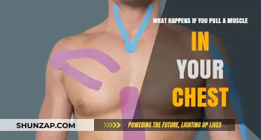 Pulled Chest Muscle: Symptoms, Causes, and Recovery Tips Explained