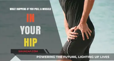 Hip Muscle Strain: Symptoms, Causes, and Recovery Tips Explained