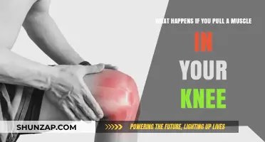 Pulled Knee Muscle: Symptoms, Recovery, and Prevention Tips