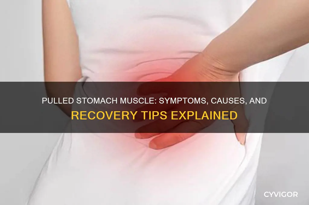 what happens if you pull a muscle in your stomach